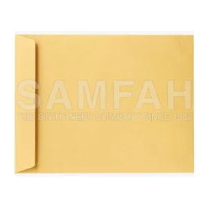 SAMS 95G BROWN ENVELOPE P&S 10S (10X15)