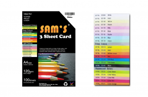 SAMS 8300-0295 3 SHEET CARD 10S D.ASST