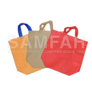 48X42X18 NON-WOVEN BAG