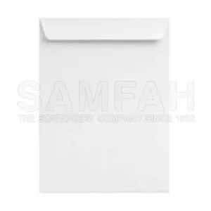 LION 100G WHITE ENVELOPE P&S 250S (9X12.75)