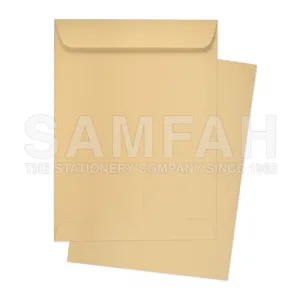 SAMS 100G MANILA ENVELOPE P&S 10S (9X14)
