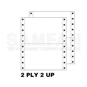 AKIRA 9.5X11 C.FORM 2PLY 1000F NCR 2UP