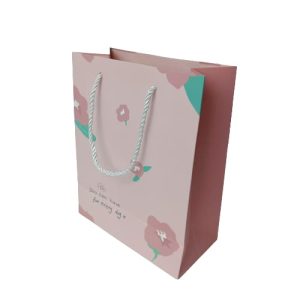 SD-346-3 PAPER GIFT BAG M