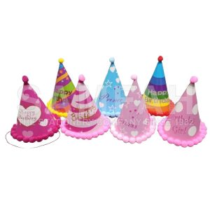 SH53-32 BIRTHDAY HAT 24CM