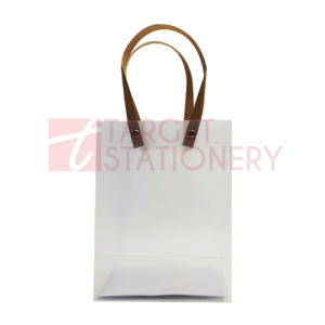 FROSTED PP GIFT BAG 19.5×14.5×9.5CM