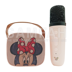 DISNEY SERIES MICROPHONE SPEAKERS