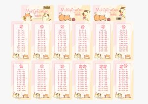 SF STUDIO POCKET SIFIR