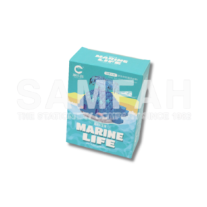 7265 DOLPHIN BUILDING BLOCK