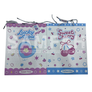 ZLW-020208/217/270/669 PAPER GIFT BAG L